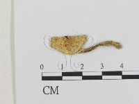 登錄號:F0002149藏品圖，第3張