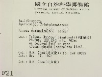 登錄號:F0002150藏品圖，第2張