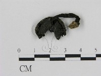 登錄號:F0002151藏品圖，第1張