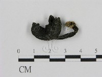 登錄號:F0002151藏品圖，第3張