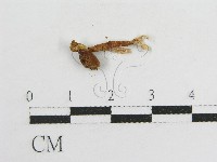 登錄號:F0002152藏品圖，第3張