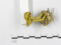 登錄號:F0002156藏品圖，第1張