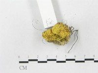登錄號:F0002156藏品圖，第3張