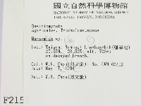 小皮傘屬藏品圖，第2張