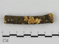 登錄號:F0002160藏品圖，第1張