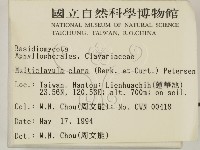 登錄號:F0002161藏品圖，第2張