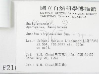 登錄號:F0002163藏品圖，第3張