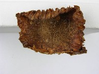 登錄號:F0002163藏品圖，第5張