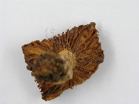 登錄號:F0002163藏品圖，第6張