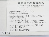 登錄號:F0002164藏品圖，第2張