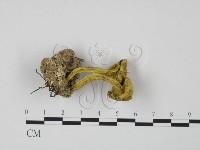 登錄號:F0002165藏品圖，第3張