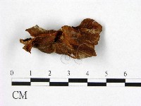 登錄號:F0002166藏品圖，第1張