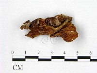 登錄號:F0002166藏品圖，第3張