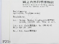 粉褶菌屬藏品圖，第2張