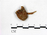 登錄號:F0002169藏品圖，第1張