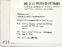 登錄號:F0002171藏品圖，第2張