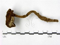 登錄號:F0002171藏品圖，第1張