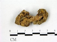 登錄號:F0002172藏品圖，第1張