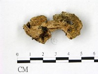 登錄號:F0002172藏品圖，第3張