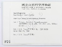 登錄號:F0002176藏品圖，第2張