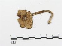 登錄號:F0002176藏品圖，第1張