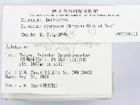 登錄號:F0002179藏品圖，第2張