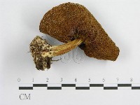 登錄號:F0002179藏品圖，第3張