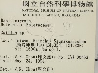 登錄號:F0002180藏品圖，第2張