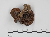 登錄號:F0002180藏品圖，第1張