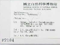 登錄號:F0002184藏品圖，第2張