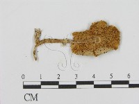 登錄號:F0002188藏品圖，第3張