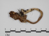 登錄號:F0002189藏品圖，第3張