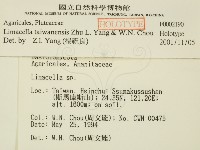 登錄號:F0002190藏品圖，第2張