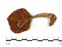 登錄號:F0002192藏品圖，第3張