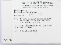 紅菇屬藏品圖，第2張