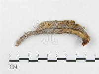 登錄號:F0002198藏品圖，第3張