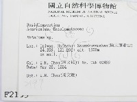 粉褶菌屬藏品圖，第2張