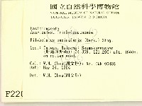 登錄號:F0002204藏品圖，第2張