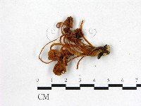 登錄號:F0002204藏品圖，第3張