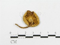 登錄號:F0002206藏品圖，第1張