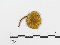 登錄號:F0002206藏品圖，第3張