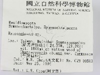 刺革菌屬藏品圖，第2張