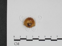 登錄號:F0002210藏品圖，第3張