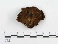 登錄號:F0002211藏品圖，第1張