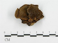 登錄號:F0002211藏品圖，第4張