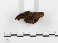 登錄號:F0002211藏品圖，第5張