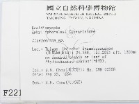 登錄號:F0002212藏品圖，第2張