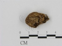 登錄號:F0002213藏品圖，第1張