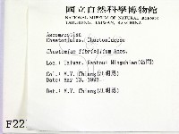登錄號:F0002215藏品圖，第2張
