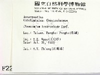 登錄號:F0002217藏品圖，第2張